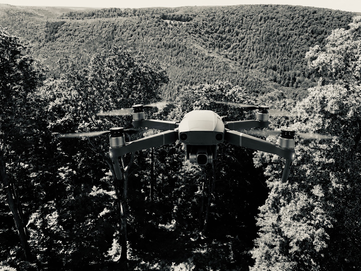 Drone Surveillance